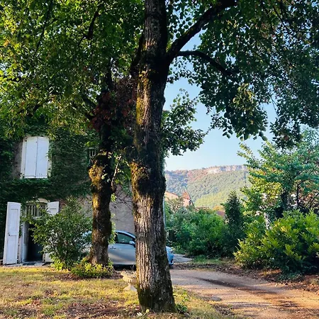 Elegant House & Surrounding,park, Walk To Town Centre Saint-Antonin